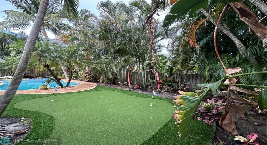 Saltwater Pool, jacuzzi and Putting green.