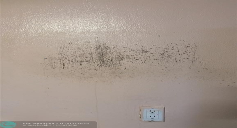 Possible mold