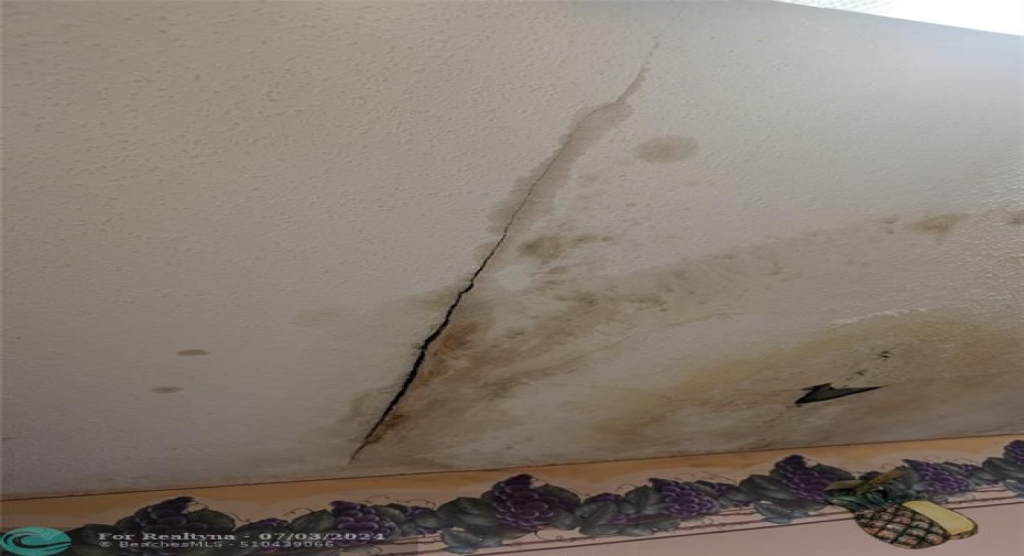 Kitchen water leak in ceiling