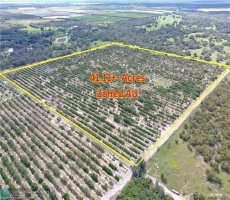 Commercial/business/agricultural/industrial Land For Sale