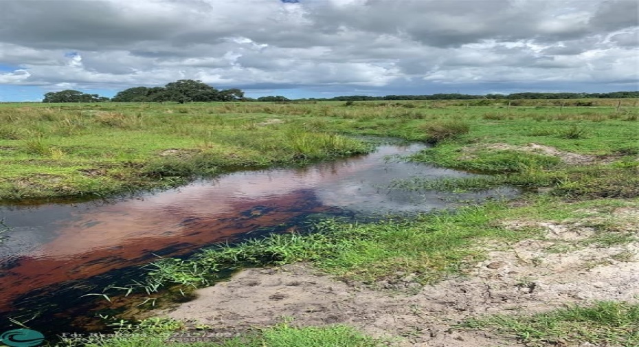 Spring fed stream on property