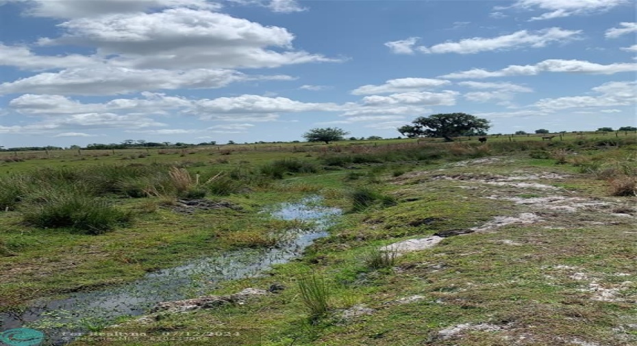 Spring fed stream on property