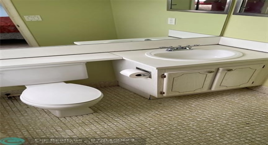 Guest Bath - Sink and Toilet Only