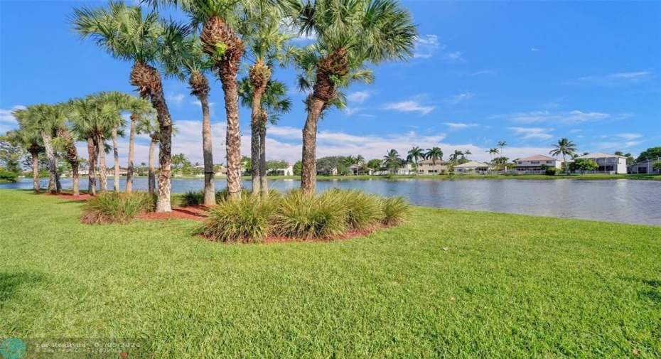 backyard view