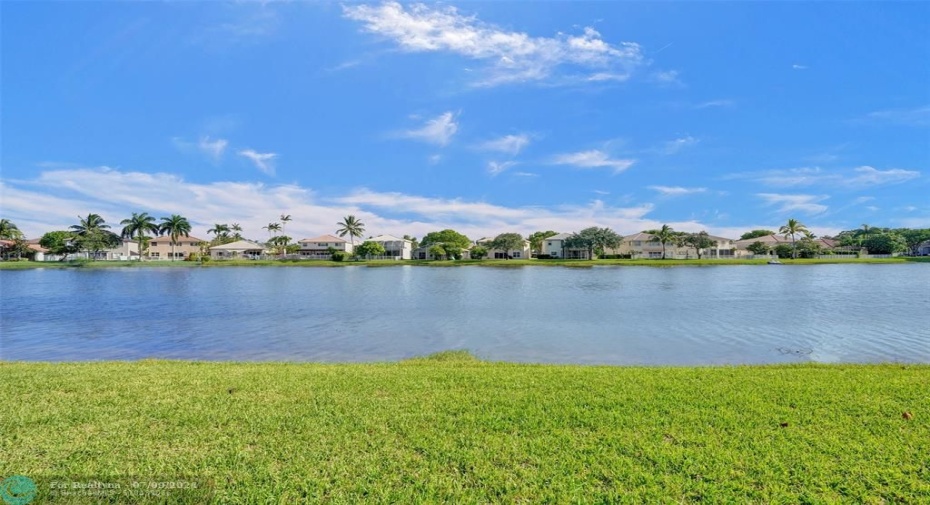 Backyard lakeview