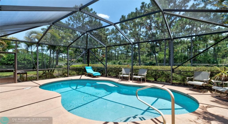 BEAUTIFUL and private saltwater heated pool backs to natural preserve