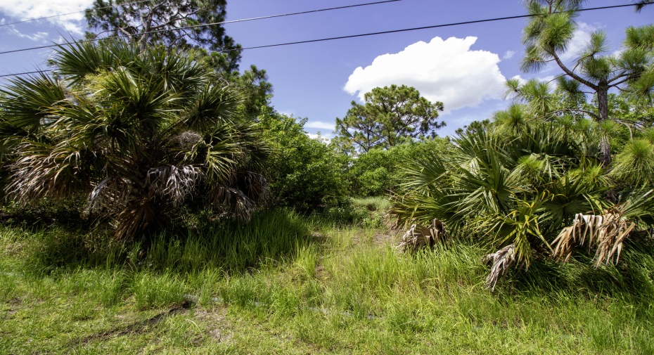 2613 SW Fair Isle Road, Port Saint Lucie, Florida 34953, ,C,For Sale,Fair Isle,RX-11003122