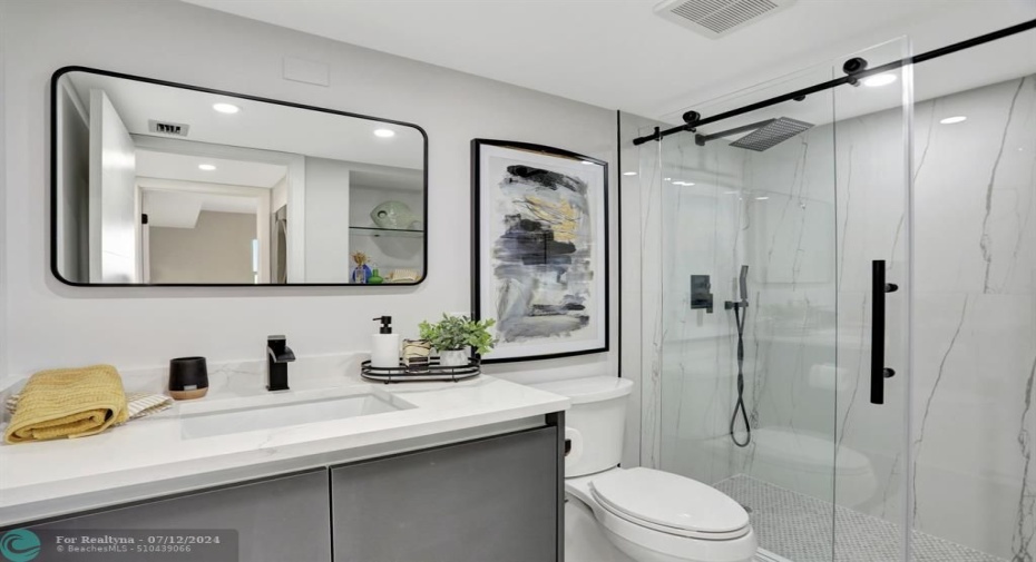 Guest Bathroom wiht Shower Stall