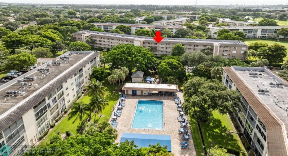 Condo is directly across from the Aruba swimming pool!