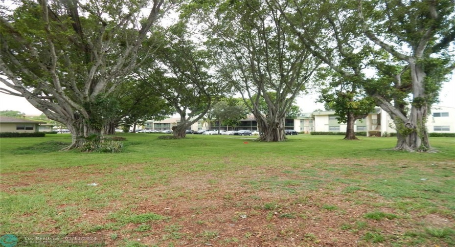 Green area outside the front of the unit