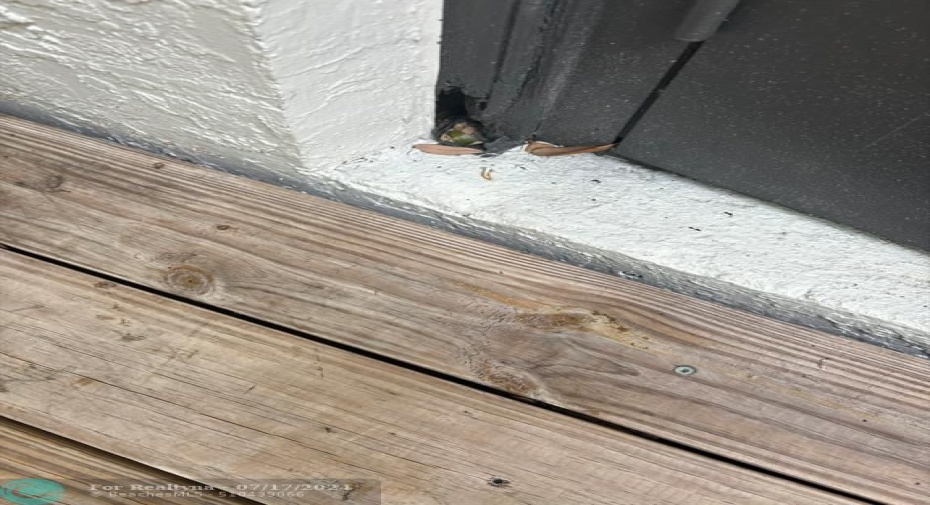 Wood rot visible from rear deck