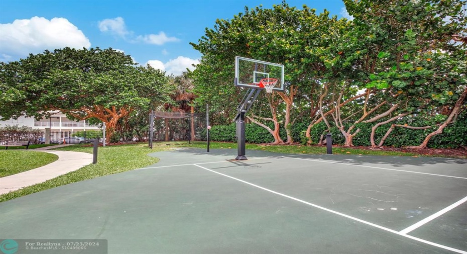 Basketball, golf swing net, and tetherball on property