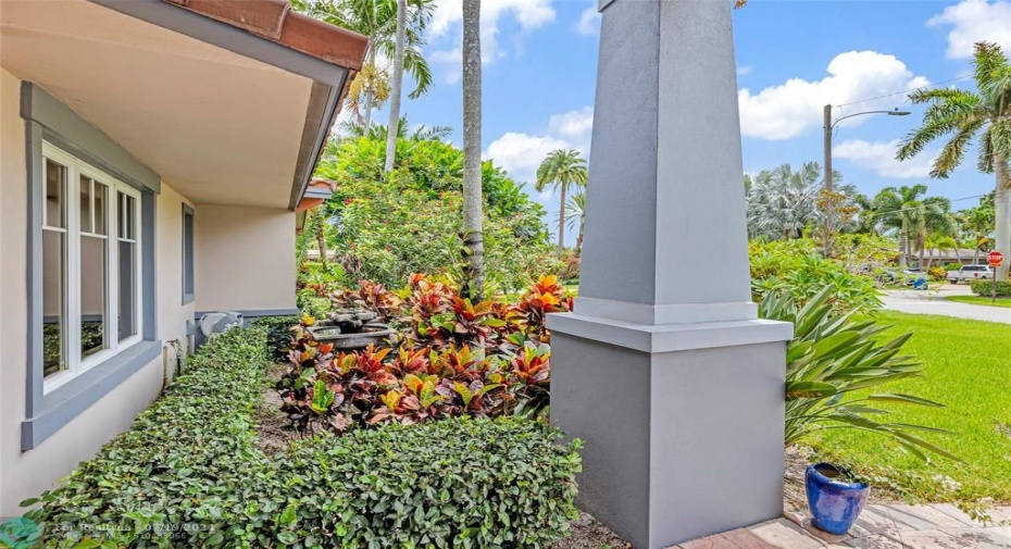 Fountain and Tropical Vegetation