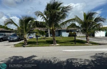 Tropical landscaping , Large driveway can fit upto 4 cars !