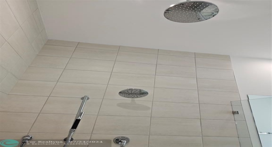 Master Shower w hand held AND Rain showerhead