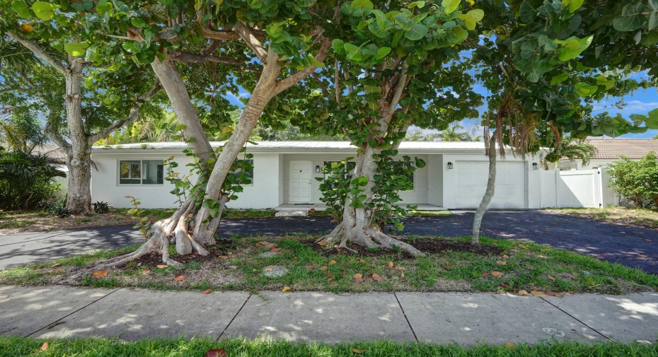 998 W Camino Real, Boca Raton, Florida 33486, 4 Bedrooms Bedrooms, ,2 BathroomsBathrooms,Residential Lease,For Rent,Camino Real,RX-11006270