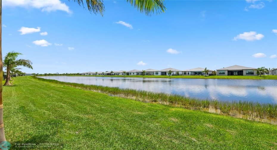 Backyard Lake View