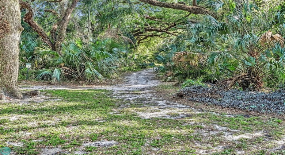 Pine Island Ridge Preserve Entrance