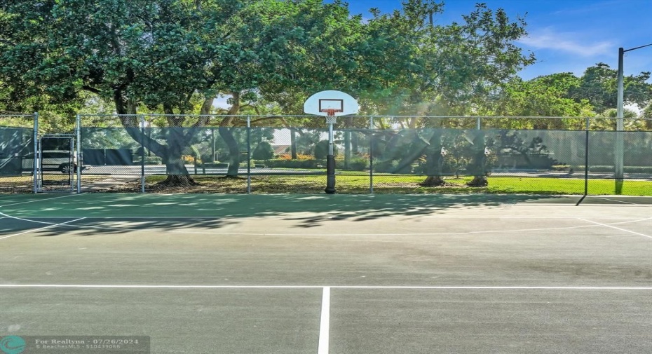 Basketball Court