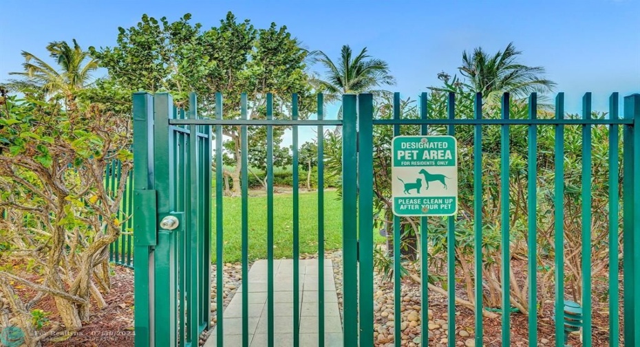 Gated Dog Park