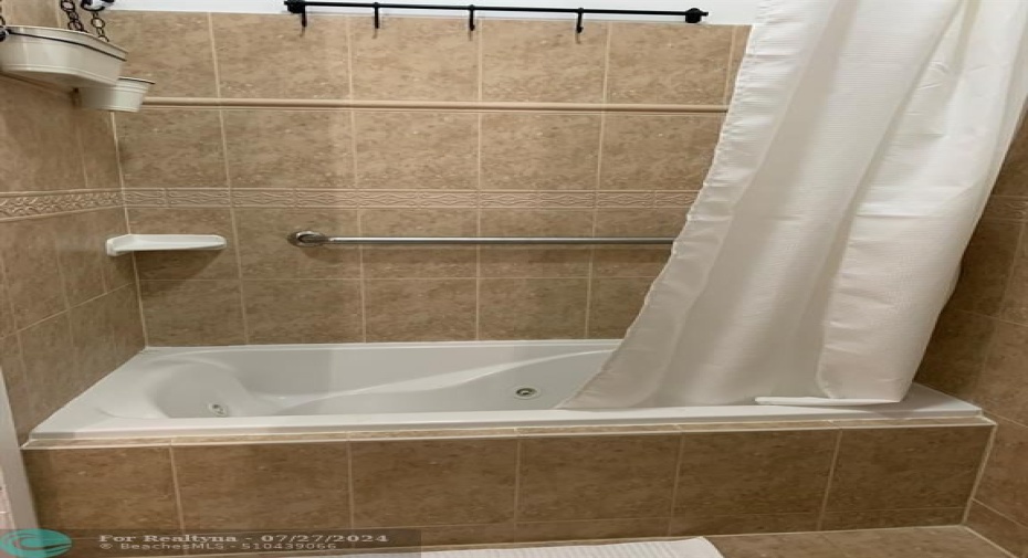 Master bathroom jetted tub and shower