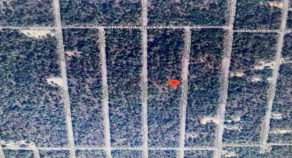 0 Undetermined, Dunnellon, Florida 34431, ,C,For Sale,Undetermined,RX-11007712