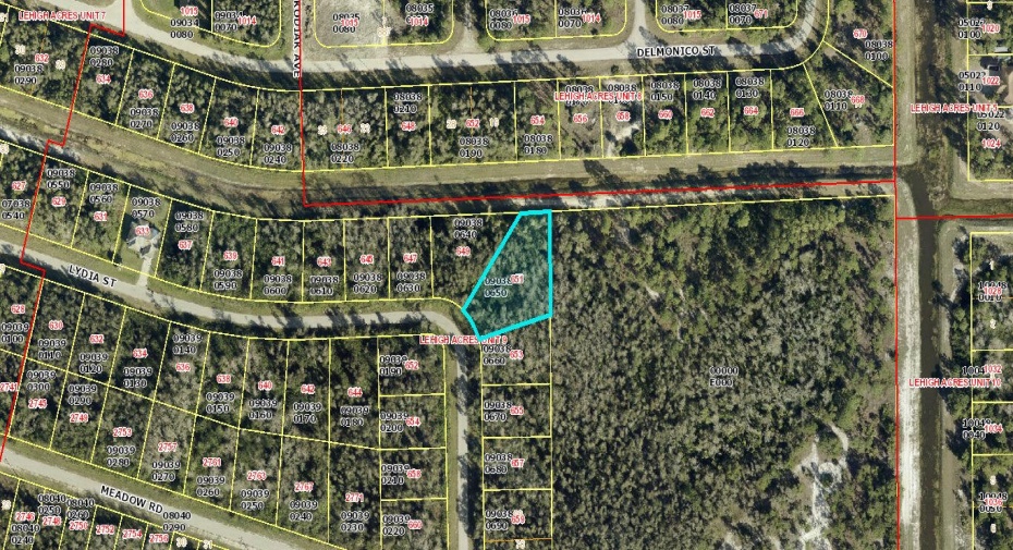 651 Lydia Street, Lehigh Acres, Florida 33974, ,C,For Sale,Lydia,RX-11008264