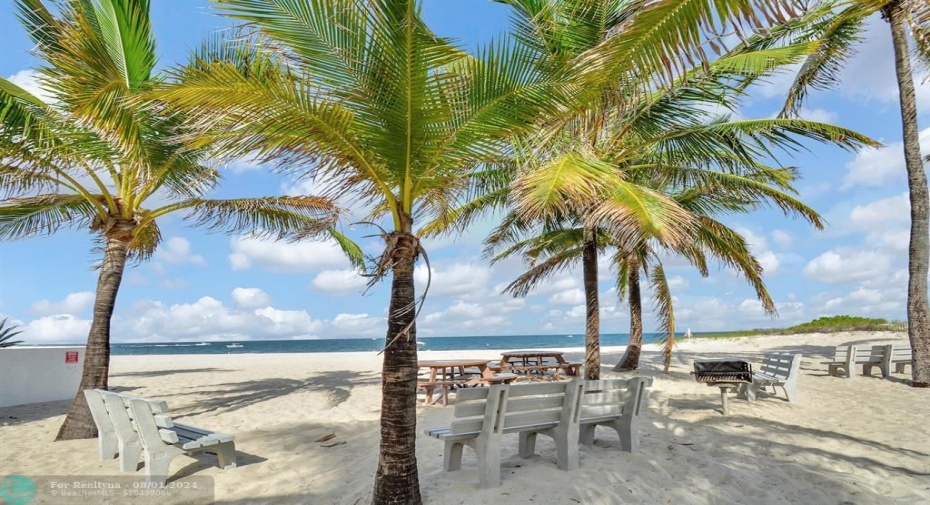 Private Beach included.Coconut Palms