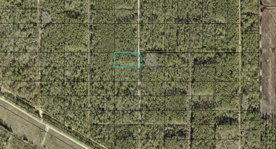 0 Leroy, Hastings, Florida 32145, ,C,For Sale,Leroy,RX-11008577