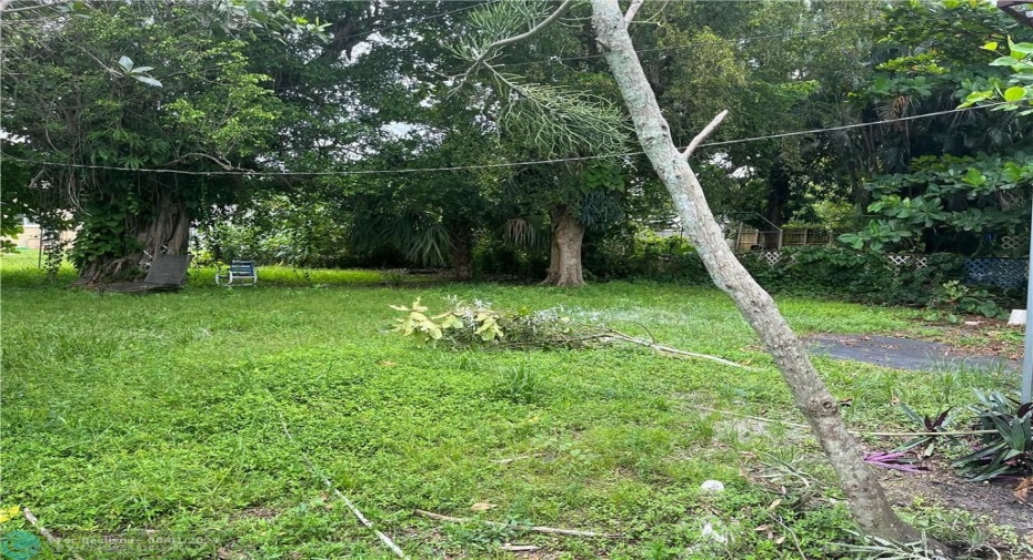 Large lush backyard