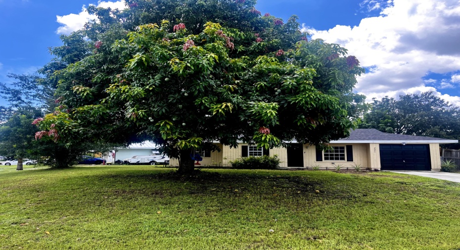 2921 SW Massey Lane, Port Saint Lucie, Florida 34953, 3 Bedrooms Bedrooms, ,2 BathroomsBathrooms,Single Family,For Sale,Massey,RX-11008891