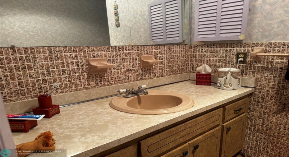 MASTER BATH SINK