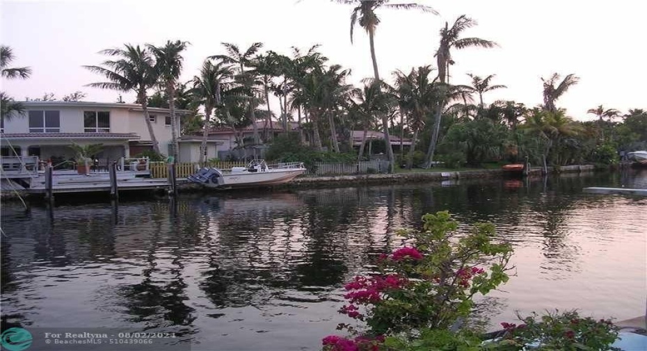 Patio view