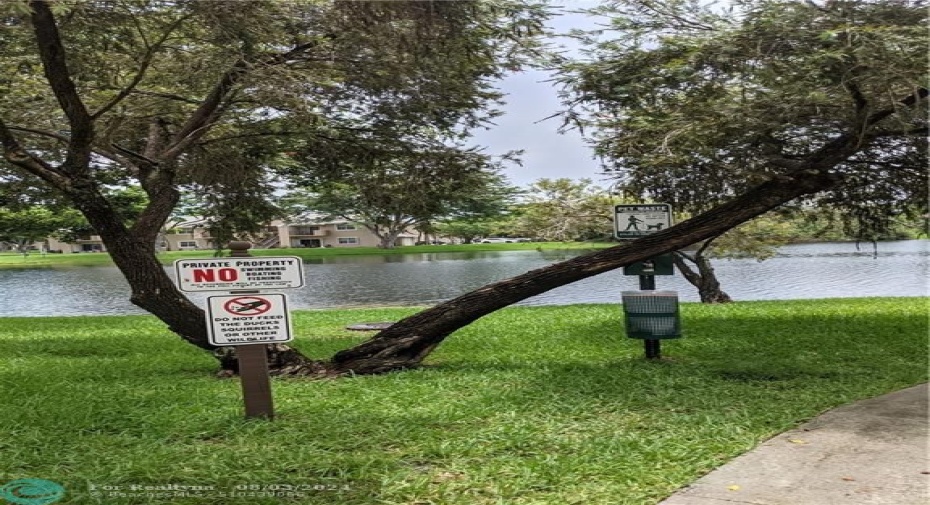 Lake behind the building