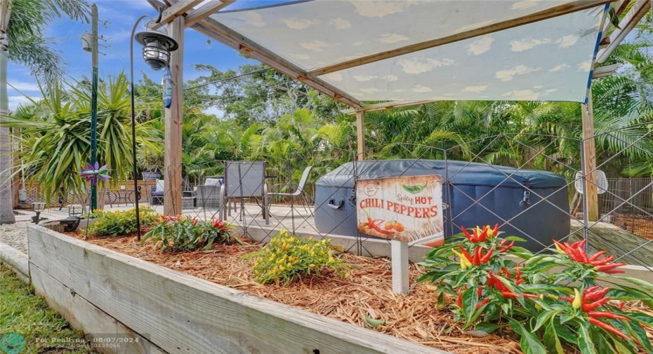 Hot-Tub-Garden