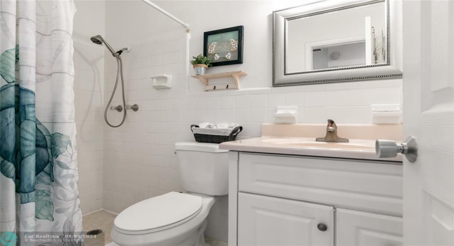 Guest bathroom