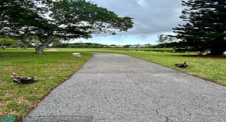 Jog/Bike Path