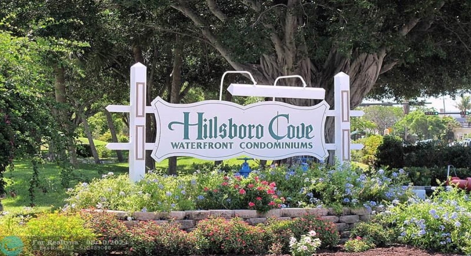 Welcome to Hillsboro Cove.  An active 55+ waterfront community