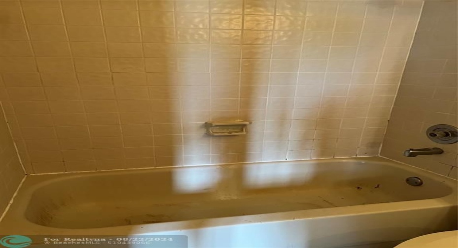 Primary bath tile and tub