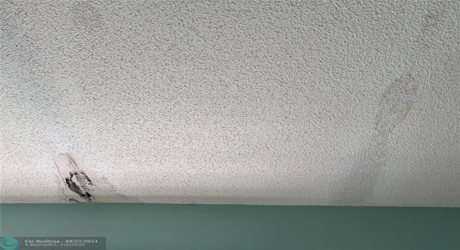 PRIMARY BEDROOM CEILING.  WATER DAMAGE.