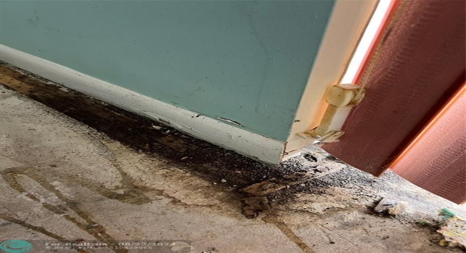 Baseboard and carpet tack strip near sliding glass door in Living room