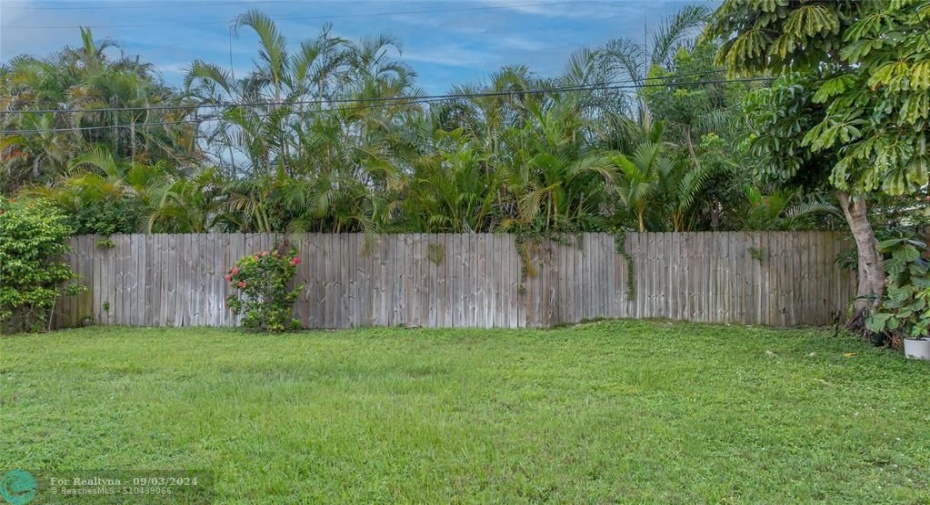 Fence backyard