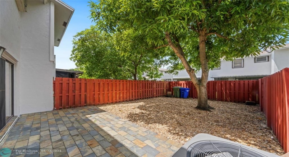 Pavered Patio, Mango Tree Provides Shade