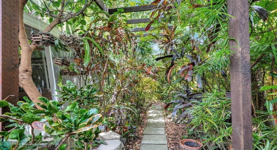 The fully fenced backyard is an enchanting tropical garden with exotic plants that cascade over the oasis retreat.