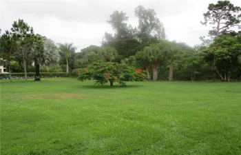 TROPICAL GARDEN VIEW WITH A ROYAL POINCIANA TREE WHICH CAN BE SEEN FROM THE ENCLOSED GLASS PATIO