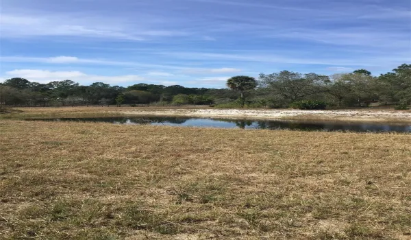 Pond View