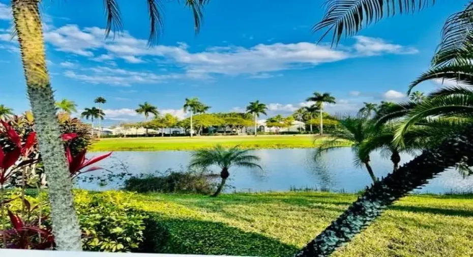 Lake view from the pool