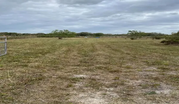 Entrance to the front of the property (Facing North)