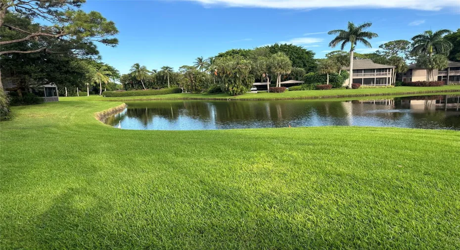 View From the Patio/Living Room