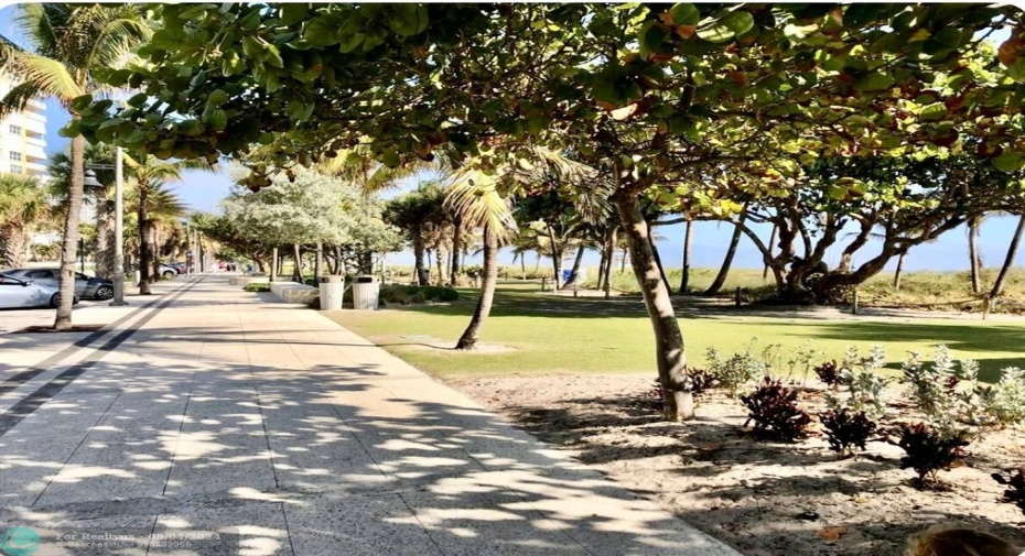 sidewalk/path along A1A